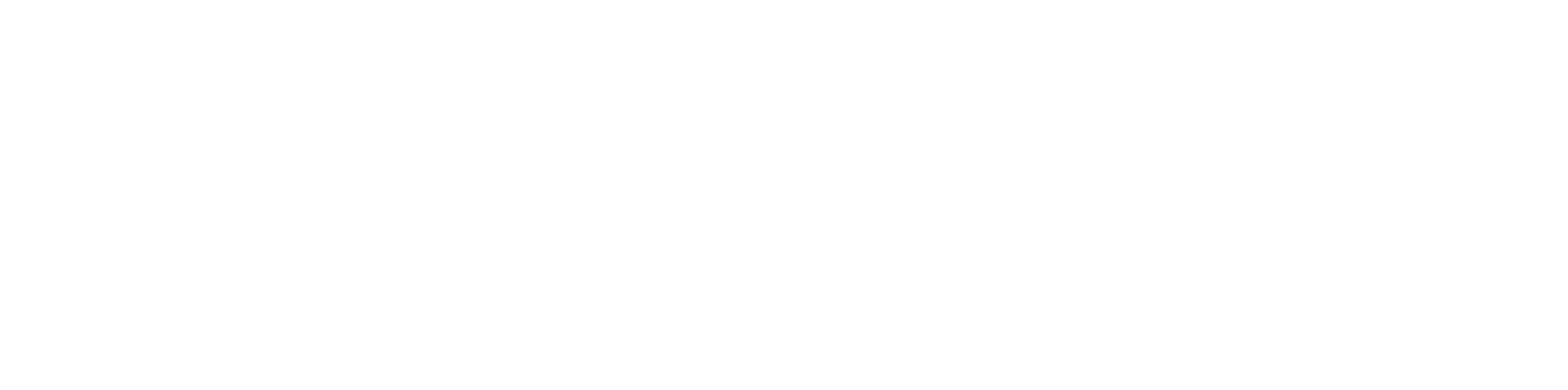 AVIAUTO2